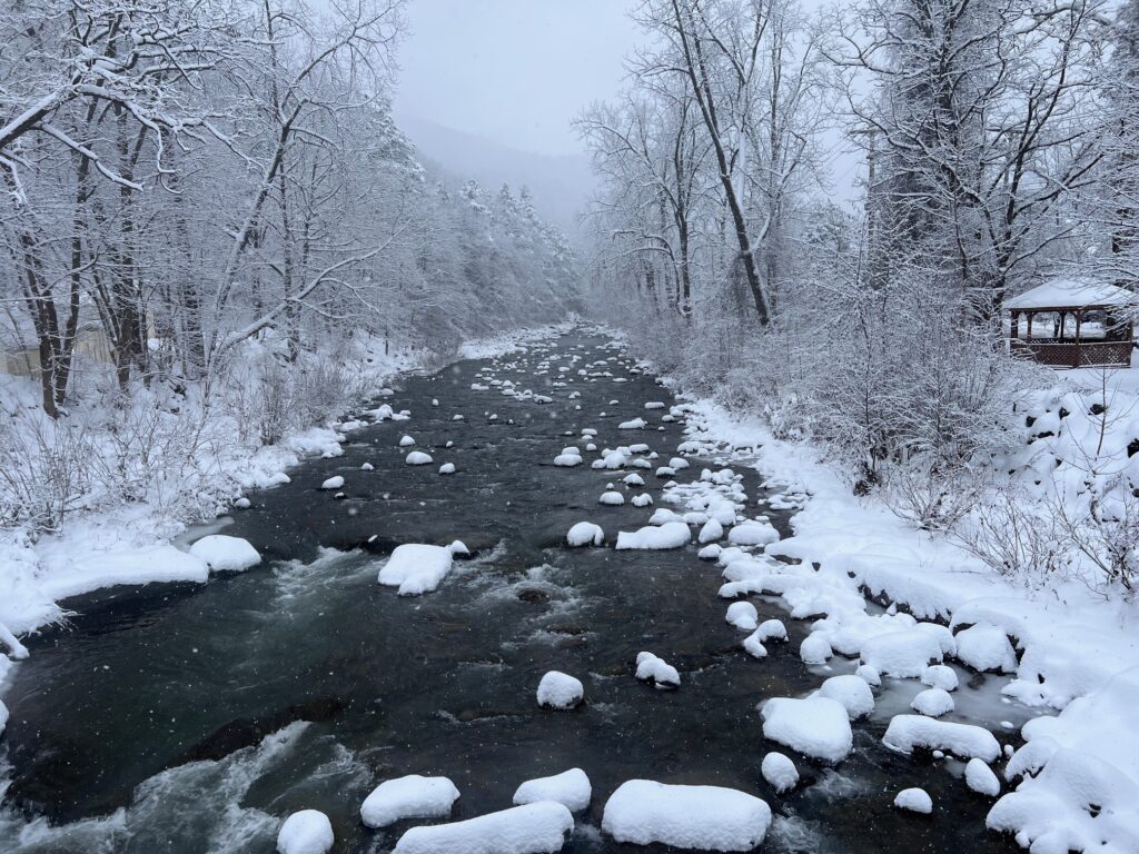 Phoenicia Winter - Rober Drake